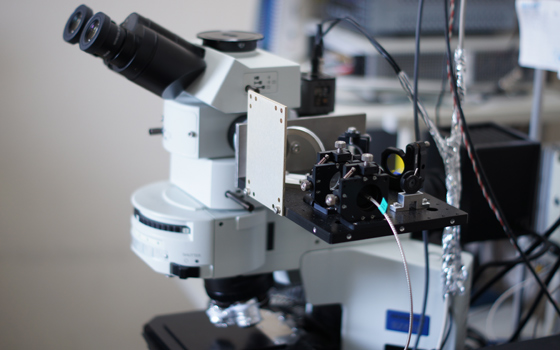 Micro Raman Scattering Measurement System